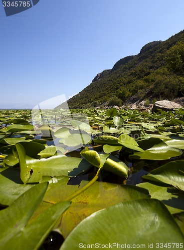 Image of the lake  