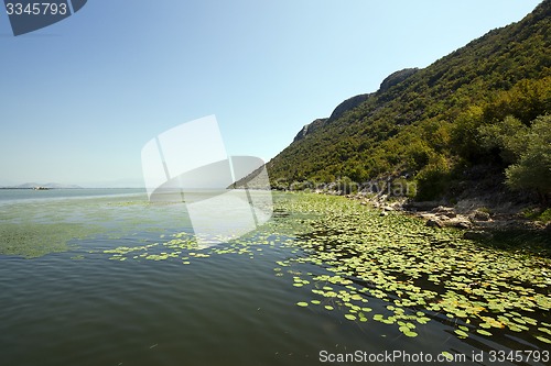 Image of the lake. Montenegro