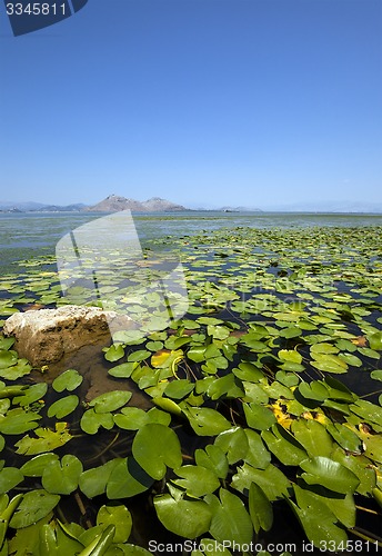 Image of the lake. Montenegro 