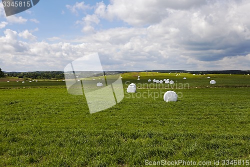 Image of the packed grass  