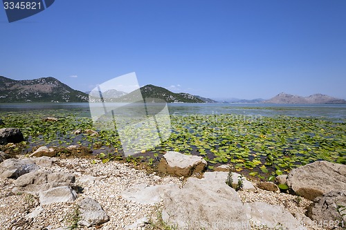 Image of the lake 