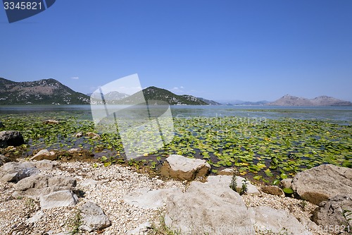 Image of the lake 