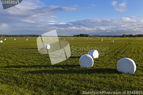 Image of packed grass  