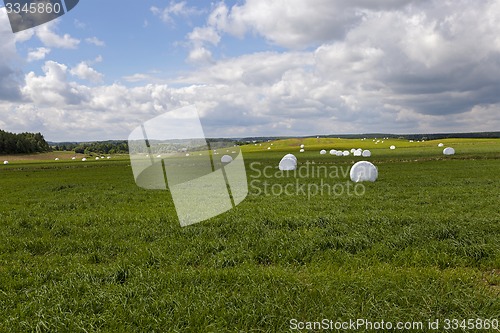 Image of the packed grass  