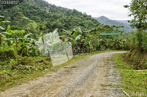Image of Village Mountain Dirt Road