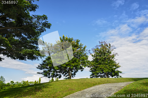 Image of Golf Cart Path