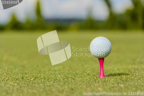 Image of Pink Golf Tee