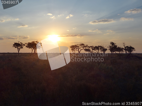 Image of Savannah evening