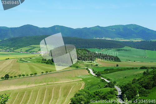 Image of Summer scenery