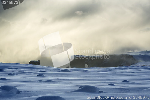 Image of Peninsula Dyrholaey in south Iceland in morning light