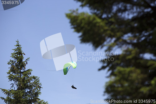 Image of Green paraglider between trees