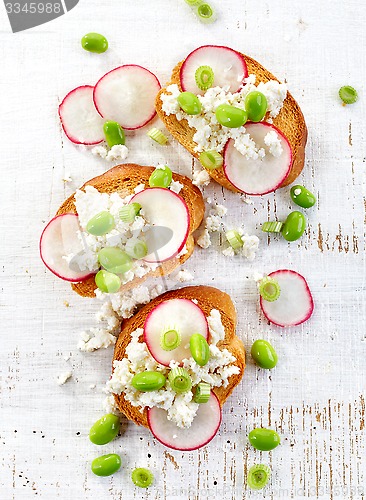 Image of toasted bread with cottage cheese and radish