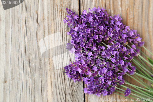 Image of Bunch of lavender