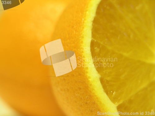 Image of Cut orange