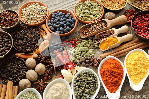 Image of Spices and herbs.