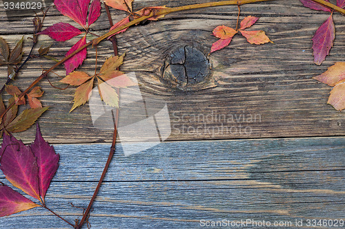 Image of Autumn still life with dry red leaves