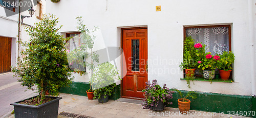 Image of An outside pots filled with vibrant multicolored flowers