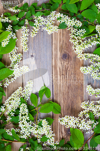 Image of bird cherry branches  on aged boards
