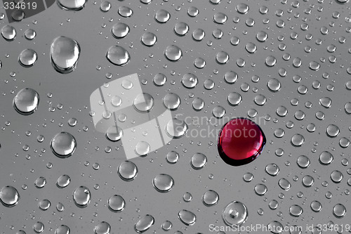 Image of drops