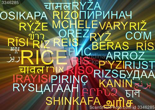 Image of Rice multilanguage wordcloud background concept glowing