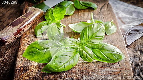 Image of fresh basil leaves