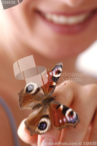 Image of Butterfly