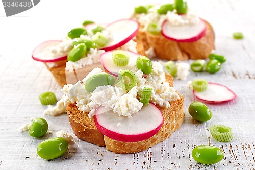 Image of toasted bread with radish and cottage cheese