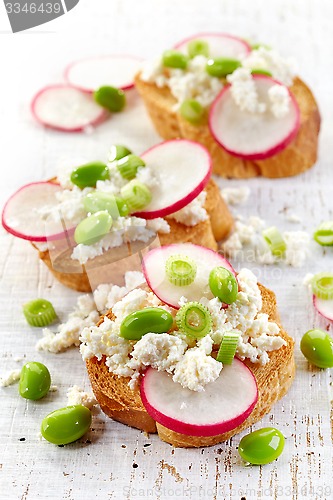 Image of toasted bread with radish and cottage cheese