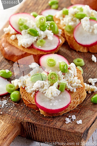 Image of toasted bread with radish and cottage cheese
