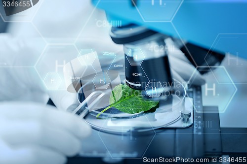 Image of close up of hand with microscope and green leaf