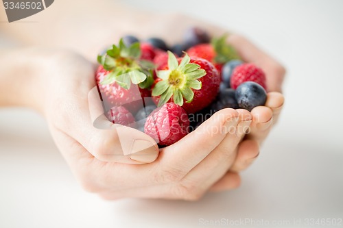 Image of close up of woman hands holding berries