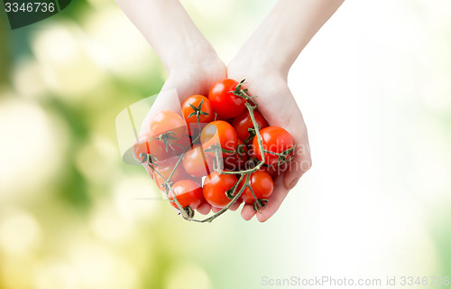 Image of close up of woman hands holding cherry tomatoes