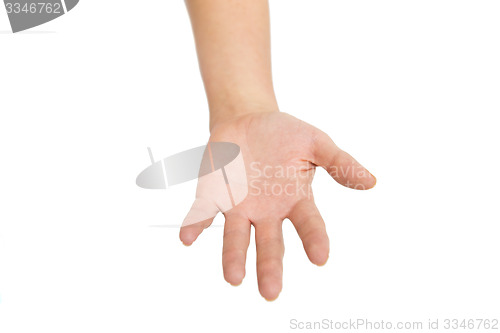 Image of human hand or palm 