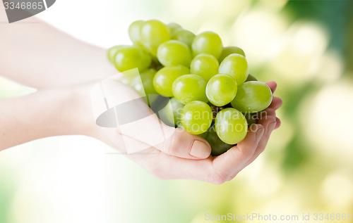 Image of close up of woman hands holding green grape bunch