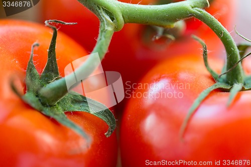 Image of close up of ripe juicy red tomatoes
