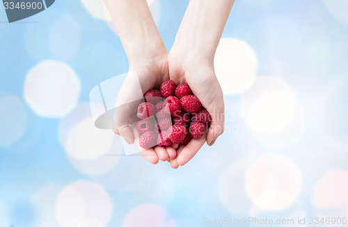 Image of close up of woman hands holding raspberries