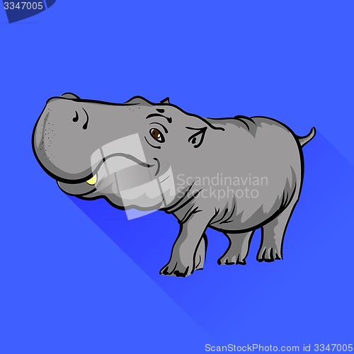 Image of Hippopotamus