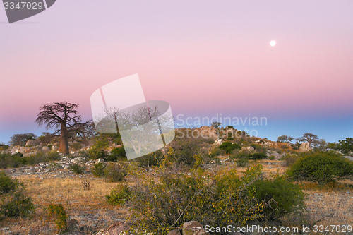 Image of evening scenery at Kubu Island