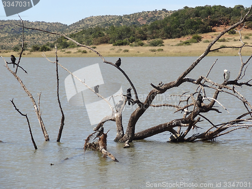 Image of Pilanesberg Game Reserve