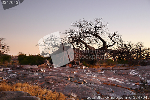 Image of evening scenery at Kubu Island