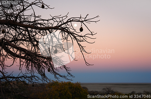 Image of evening scenery at Kubu Island