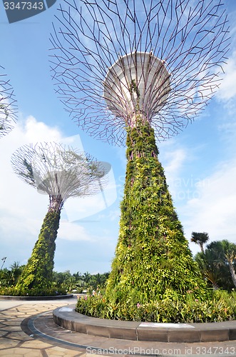 Image of Super-tree in Garden by the bay
