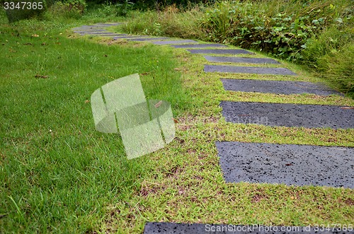 Image of Pathway of stone bricks in a grass field