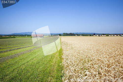 Image of countryside