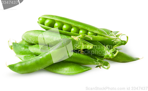 Image of Pile closed pea pods and one open