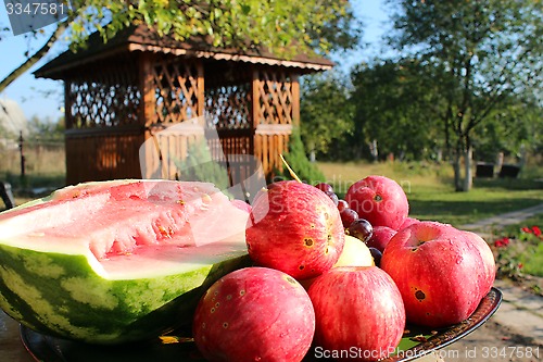 Image of red apples on the arbor background