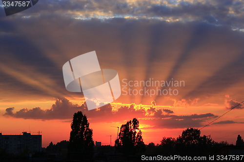 Image of sunset above the trees