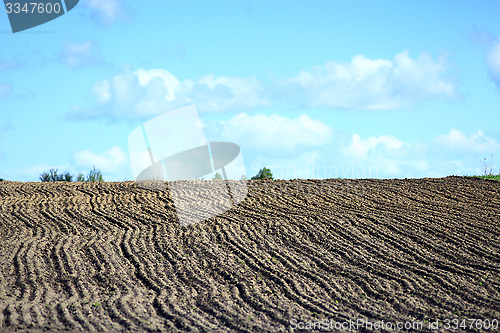 Image of plowed land ready for planting potato in village