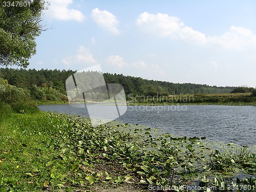 Image of landscape with water-lilies on the river