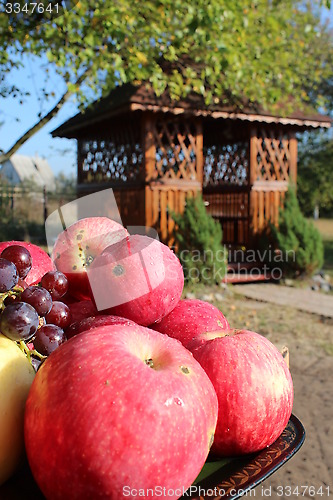 Image of red apples on the arbor background